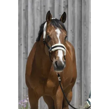 Ohlávka RIDING WORLD s beránkem černá FULL