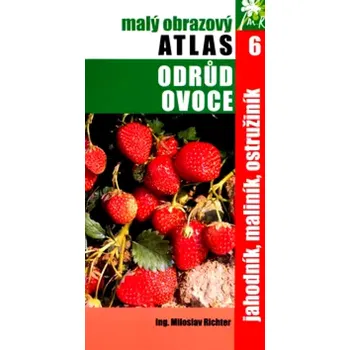 Příroda Malý obrazový atlas odrůd ovoce (Miloslav Richter, 2004)