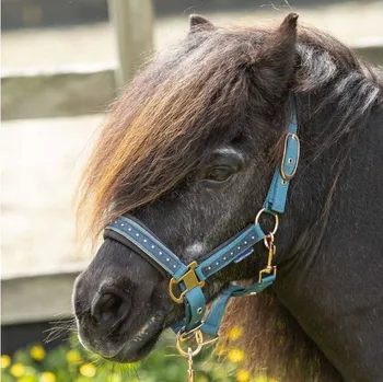 Ohlávka s vodítkem HARRY'S HORSE Crystal tapestry PONY