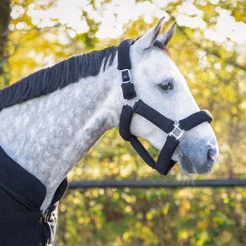 Stájová ohlávka + vodítko Zahra, černá