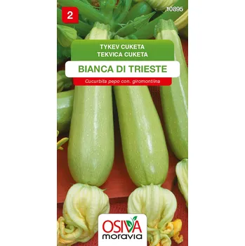 Semeno Osiva Moravia Tykev cuketa Bianca Di Trieste 10 ks
