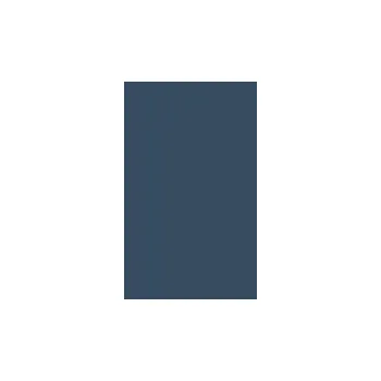 Kniha When the Spirit Says Sing! - Sanger, Kerran L.