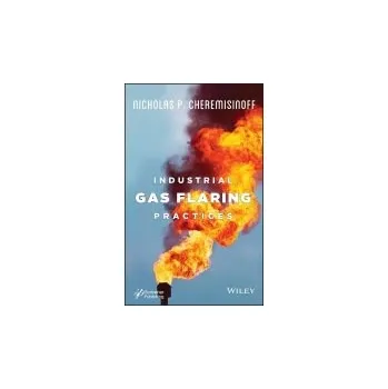 Industrial Gas Flaring Practices - Cheremisinoff, Nicholas P.