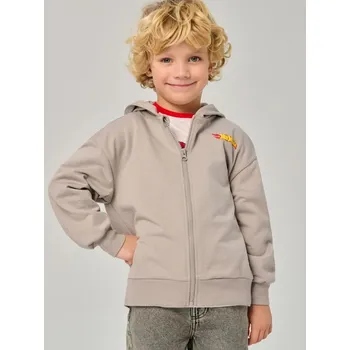 Oblečení a móda Sinsay - Mikina na zip s kapucí Hot Wheels - šedá - 075HG-09X - 075HG-09X-104