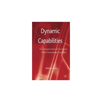 Učebnice Dynamic Capabilities