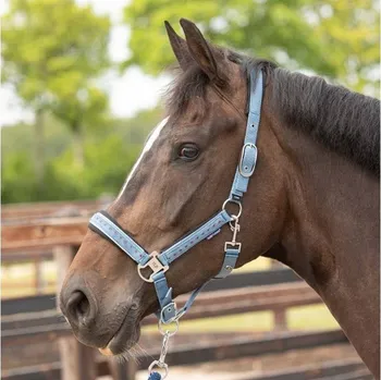 Ohlávka s vodítkem HARRY'S HORSE Crystal blue heaven SHETTY