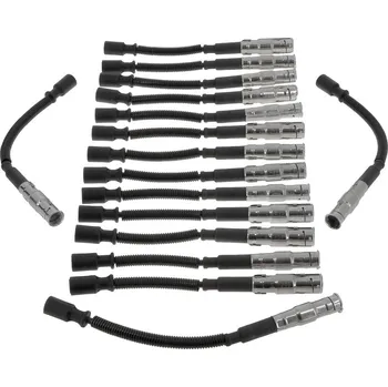 Zapalovací kabel Sada kabelů pro zapalování BorgWarner (BERU) ZEF1488