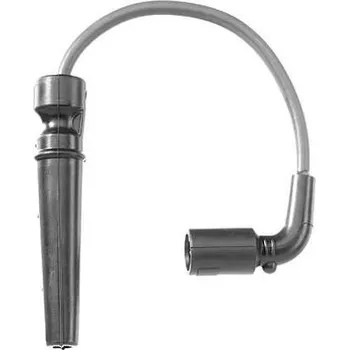 Zapalovací kabel Sada kabelů pro zapalování BorgWarner (BERU) ZEF1129