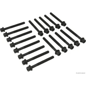 Spojovací materiál motoru Sada šroubů hlavy válce HERTH+BUSS JAKOPARTS J1281027