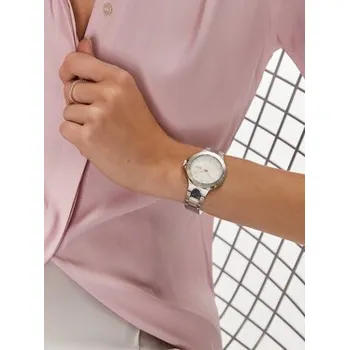 Oblečení a móda DKNY Hodinky Chambers NY6641 Stříbrná OS