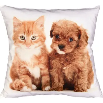 Polštář Fotonávlek, Štěňátko a kotě, 40 x 40 cm