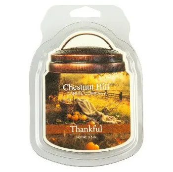vonný vosk Chestnut Hill Candle Company Vosk THANKFUL, 100g, do aromalampy|Chestnut Hill