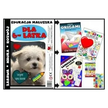 První čtění Edukacja maluszka - zestaw dla 6 latka - Love Abiding Books