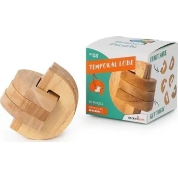 Desková hra Recenttoys Hlavolam: Brain Puzzle 3 - Spánkový lalok