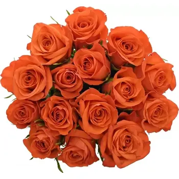 umělá květina Kytice 15 oranžových růží PATZ 50 cm