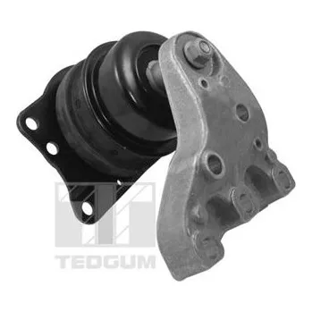 Motor automobilu Zavěšení motoru TEDGUM 00729417