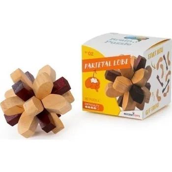 Desková hra Recenttoys Hlavolam: Brain Puzzle 2 - Temenní lalok