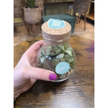 Skleněné mechárium mini ve tvaru hrušky