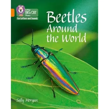 Kniha Beetles Around the World - Morgan, Sally