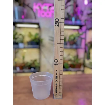 Květináč Květináč průhledný 6,5 cm