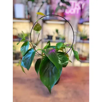 Kovová opora - kruh černý 20 cm