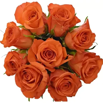 umělá květina Kytice 9 oranžových růží PATZ 35cm
