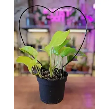 Kovová opora - srdce černé 23 cm