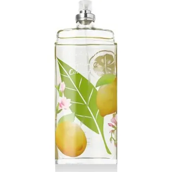 Dámský parfém Elizabeth Arden Green Tea Citron Freesia 100 ml toaletní voda tester pro ženy