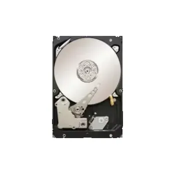 SSD disk HDD SEAGATE CONSTELLATION ES (ST3500514NS)