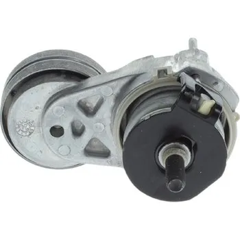 Motor automobilu Napínák žebrovaného klínového řemenu BOSCH 1 987 600 398