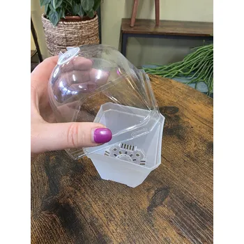 Průhledný čtveratý květináč s poklopem a regulací vlhkosti L (více velikostí)