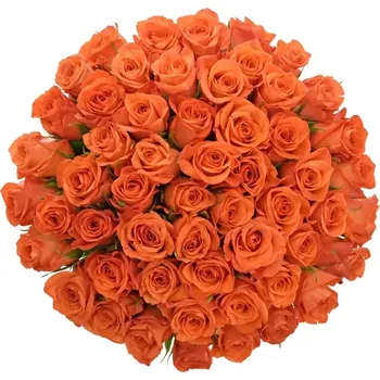 umělá květina Kytice 55 oranžových růží PATZ 50 cm