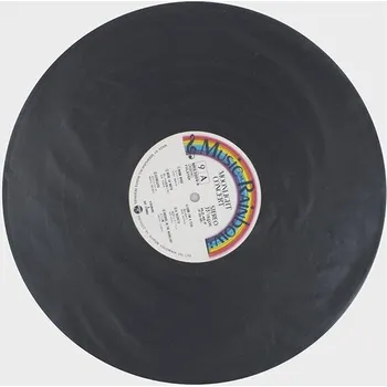 Příslušenství pro gramofon Muziker 12"LDPE(matt plastic)Vinyl Record Inner Sleeves Pack 50 Pouzdro 50