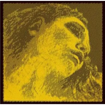 Hudební nástroj Pirastro Evah Pirazzi Gold Violin ( A ) Struny pro housle (Jako nové)