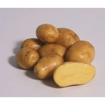 Semeno Sadbové brambory - Ditta 25 kg