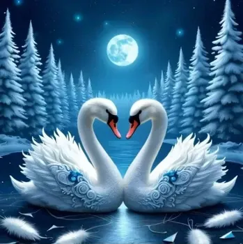 Diamantové malování Diamantové malování - Labutě při úplňku + třpytivé kamínky (50 x 50)