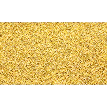 Luštěnina Jáhly Bio 25 kg LES FRUITS DU PARADIS