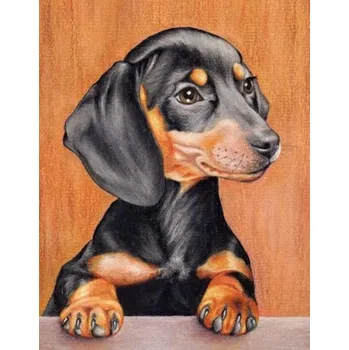 Diamantové malování Diamantové malování - Jezevčík - štěně