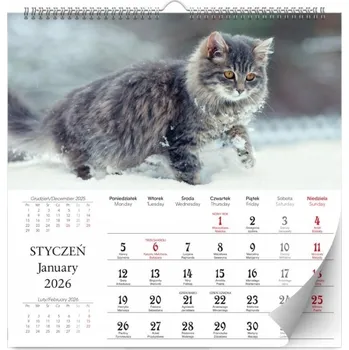 Kalendář Nástěnný Kalendář Koťátka 2026 Velký 330x330mm 16 Stran