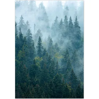 Fototapeta Samolepky A5 NA VÝŠKU Les v mlze Cestování