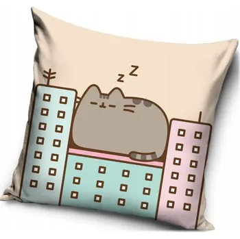 Povlak na polštářek Povlak Carbotex Pusheen 40 x 40 polštáře
