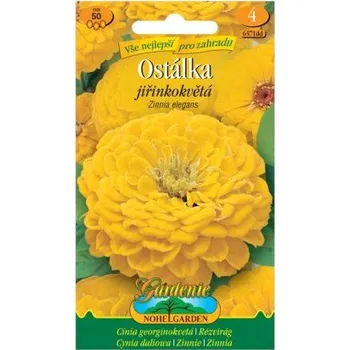 Semeno Nohel Garden Ostálka lepá jiřinkokvětá, žlutá