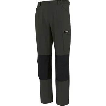 Pánské kalhoty PARKSIDE® Pánské pracovní cargo kalhoty (tmavě zelená, 48)