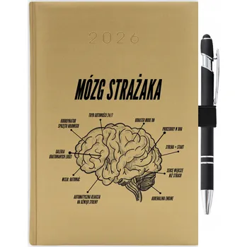 Kalendář Knižní kalendář 2026 A5 FunnyCase zlatý