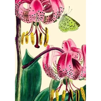 Obraz Přání B6 s obálkou – Lilie