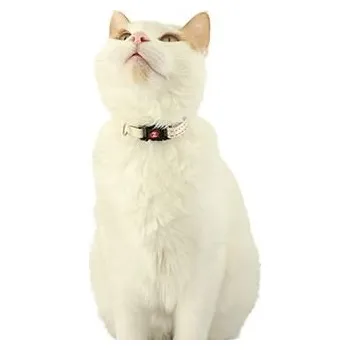 Obojek kočka CHATOUILLE s motýlkem béžová Zolux