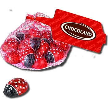 Čokoláda Čokoládové berušky síťka 63g