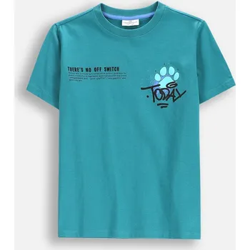 Chlapecké tričko Chlapecké tričko s krátkým rukávem, velikost 158 Coccodrillo WC5