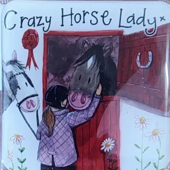 Obraz Magnet dekorativní Koniara Crazy Horse Lady