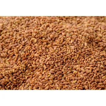 Alfalfa semínka BIO 25 kg LES FRUITS DU PARADIS